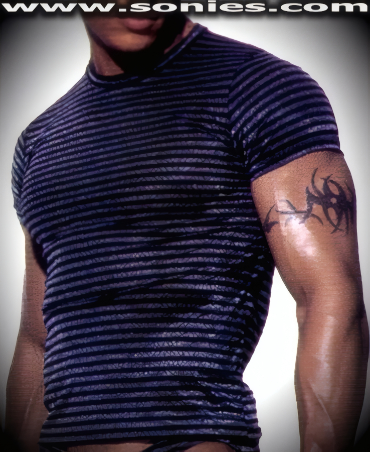 Men's Erymanthus stretch high intensity sheer stripe Lycra sculpted crew neck dance wear t-shirt. Designed to be contour fitting so that you may show off your masculine form and crafted using quality four-way stretch high intensity sheer stripe Lycra fabric (15% Lycra, 85% Nylon. Hand wash cold and drip dry. Do not bleach). It pairs superbly with any number of dashing bottoms such as pants, shorts, thongs or G-Strings. This racy style is perfect for stage, life style events, men's competition wear, pride week, monthly play parties, fetish events, adult alternative lifestyle gatherings, club wear, nightclubs, dance clubs, ladies night clubs, Bachelorette parties, male exotic Chippendale dancers, girls night out parties and more. Try this popular hot style for yourself today!   Style: 102-015