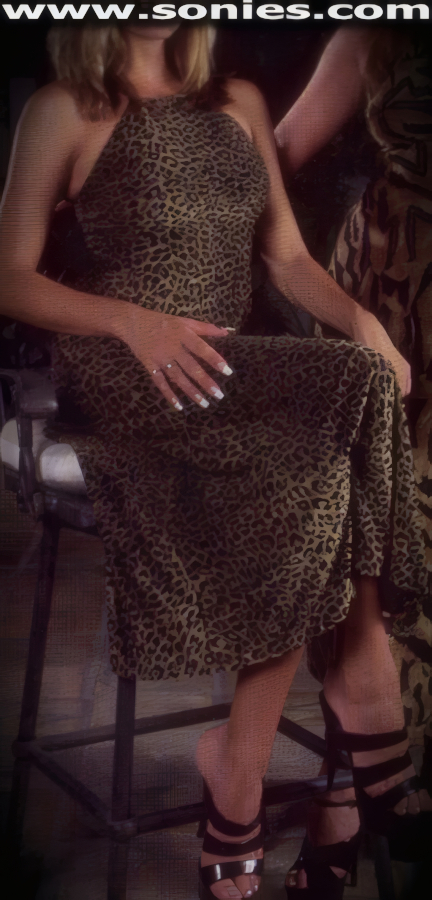 Dare to bare in this bold, body-baring style for dramatic evenings. Enticingly hot and flowing Lycra burn-out pann� velor print long gown. Body tracing long column dress with criss-cross double shoulder strap detail finally (12% Lycra, 88% Poly). May be worn with stiletto heel shoes to create a phenomenal look. This style is perfect for stage, life style events, pride week, monthly play parties, fetish events, adult alternative lifestyle gatherings, bachelor parties, club wear, nightclubs, dance clubs and gentleman's clubs.   Style: 2702BURN