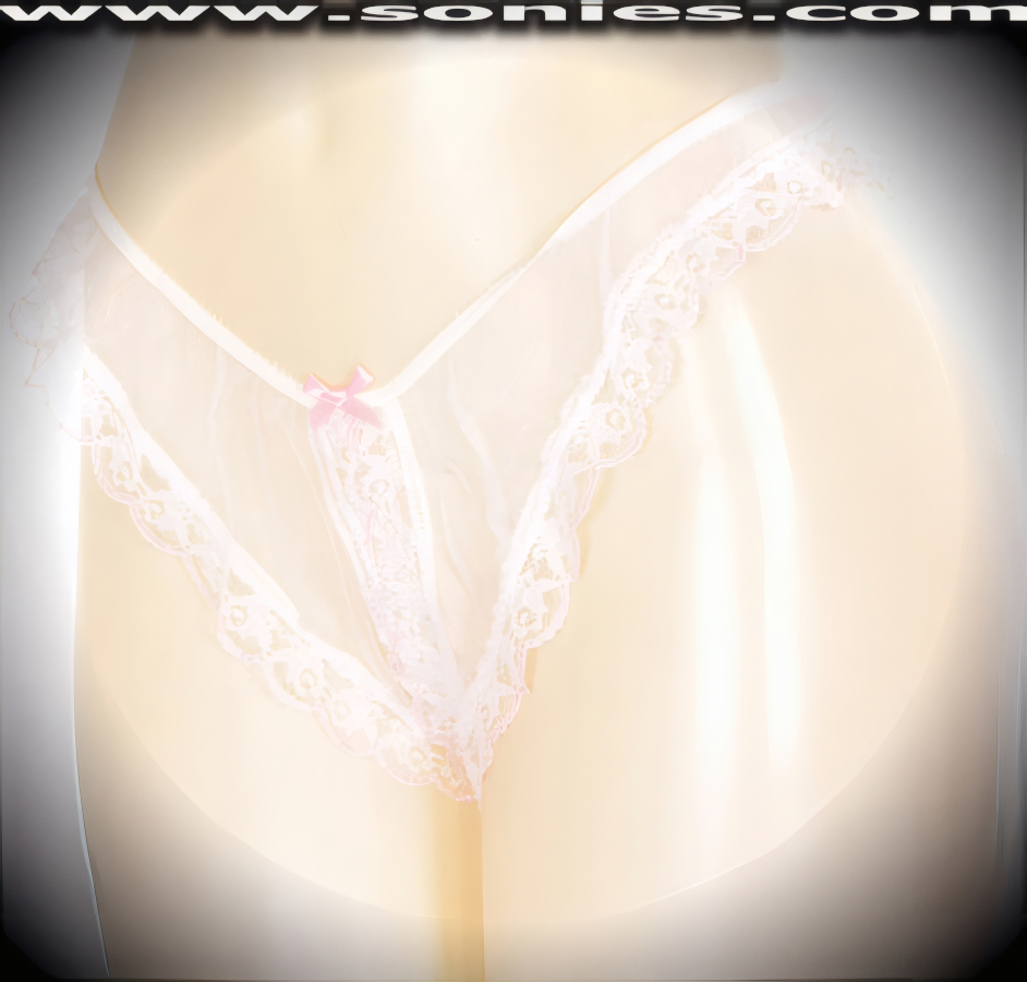 Wispy Lace Edges Split Crotch Sheer Nylon Panty in Two Tone Lace with Satin Bow Accent.   Style: 289Z-UWS