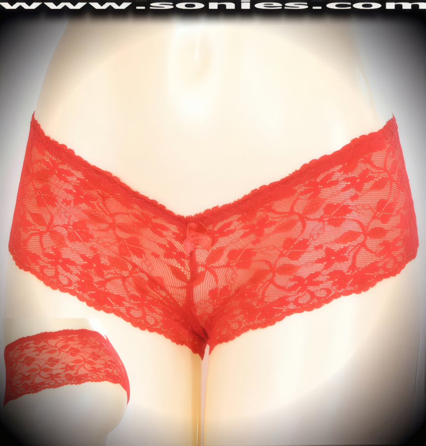 A little bit romantic, a little bit racy in this deviously distracting Werner V-front sheer nylon with stretch floral lace Lycra cheeky hot pants with cotton lined crotch and satin bow appliqu� detail finish. The low-rise design makes the torso look longer, while the high-cut thigh elongates the legs, for an incredibly seductive silhouette (12% Lycra, 88% Nylon exclusive of trim. Hand wash cold and drip dry, no bleach). It pairs beautifully with any number of risqu� tops. May be worn with stiletto heel shoes or boots to create a phenomenal look. This style is perfect for stage, life style events, pride week, monthly play parties, fetish events, adult alternative lifestyle gatherings, bachelor parties, club wear, nightclubs, dance clubs and gentleman's clubs.   STYLE: 401MB-SC