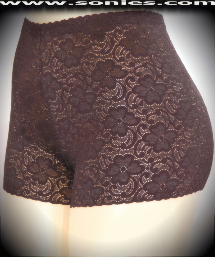 You don't have to sacrifice style for comfort in this deceitfully gorgeous Ilion sheer nylon with Lycra stretch floral lace panty. Crafted with a soft elasticized waistband to ensure a great fit and delicately lined crotch detail finish. The smoothest, softest panty for everyday luxury (Nylon/Lycra. Hand wash cold, hang dry, no bleach). It pairs beautifully with any number of risqu� tops.   STYLE: 401N-SC