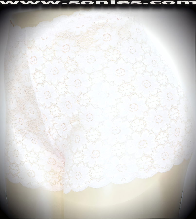 You don't have to sacrifice style for comfort in this deceitfully gorgeous Ilion sheer nylon with Lycra stretch floral lace panty. Crafted with a soft elasticized waistband to ensure a great fit and delicately lined crotch detail finish. The smoothest, softest panty for everyday luxury (Nylon/Lycra. Hand wash cold, hang dry, no bleach). It pairs beautifully with any number of risqu� tops.   STYLE: 401O-SC