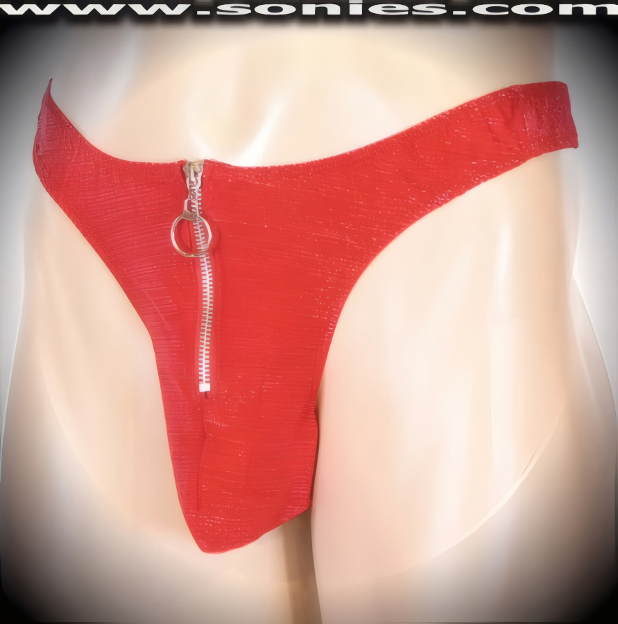 Men's Acheron Stretch Lurex Slinky Lycra Dance Wear Thong with Unlined Contoured Front Pouch to provide support and room for your package. Dramatic Front Aluminum Metal Zipper Detailing with Metal O-Ring Puller Finally for Added Peek-A-Boo Teasing Effect (15% Spandex, 85% Nylon).   Style: 444-003E