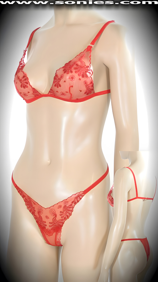 Meant To Be Seen In this extraordinary Veil Sheer Lace Embroidered Two Piece Set. Fabulous Translucent Lace Bra Designed to fit all Busts. Adjustable Elasticized Spaghetti Shoulder Straps with Back Closure for Off and On Ease. Includes Matching Thong Back Panty Finally.    Style: NO223