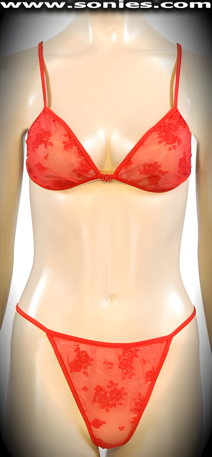 Free Yourself from the Ordinary in this Mischievous Bare Necessity Soft Sheer Mesh and Embedded Floral Velvet Two Piece Set. Fabulous Soft Sheer Mesh Bra Designed to fit all Busts. Elasticized Shoulder Straps with Snap Front Closure for Off and On Ease. Complete with Matching Sheer Mesh Thong Back Panty and Lined Crotch Detail Finish.   Style: PLSY-1