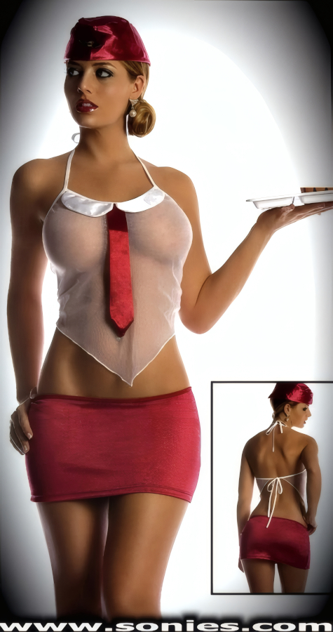A marvelous way to earn your wings is this stunning Reina Flight Attendant 4-piece costume set. This flirtatiously sheer halter style Cami top is made from a lightweight fine mesh fabric that creates a show-off silhouette. The Cami top is crafted with adjustable halter straps that tie around neck and on center of the back for a great accommodating fit; has a satin Lycra mock collar and attached red necktie, an open back and V-shape front hem finally. Pull-on style satin Lycra low-rise mini skirt and matching sheer unlined thong back panty with soft elasticized waistband to ensure a great fit. Includes a matching flight attendant cap to complete this magnificent vesture (18% Spandex, 82% Nylon, exclusive of trim. Hand wash cold and drip dry. Tray and goodies not included). It pairs beautifully with any number of risqu� gloves and stockings. May be worn with stiletto heel shoes to create a phenomenal look. This style is perfect for bedroom performance, life style events, monthly play parties, fetish events, adult alternative lifestyle gatherings, bachelor parties and gentleman's clubs.   Style: C005GW