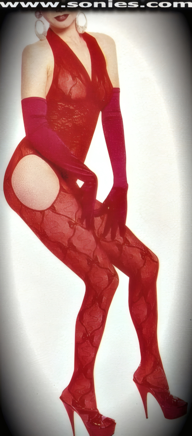 Start a hot trend in this connoisseur of irresistible sweetness Damavand stretch bow with rose lace halter style bodystocking. Has a sensational wide horizontal floral lace pattern bodice that is designed to emphasize the bust and minimize the waist. Crafted with a deep plunge neckline, plus three audaciously sexy openings that leave you uncovered and free. Made from durable, run-resistant nylon ( 100% Nylon, exclusive of trim. Hand wash cold and drip dry. Do not bleach. G-String and gloves not included). This versatile bodystocking adores tracing the shape of your body and can be worn under most outfits, skirts, dresses, shorts, trousers and looks fabulous with stilettos and gloves.   Style: HOQ-8308