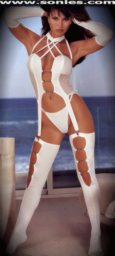A Passionate Blend with Prevailing Sex Appeal in this Exquisite Four Piece Lycra and Sheer Stretch Mesh Set with Metal Accent Detail Finish. Halter Style Bustier with Adjustable Velcro Neck Closure. Fabulous Low Scoop Back with Adjustable Hook & Eye Closure for Off and On Ease, Attached Metal Clip Garters. Complete with Matching G-String Back Panty, Fingerless Gloves and Thigh High Stockings Finally.   Style: LIS-7114