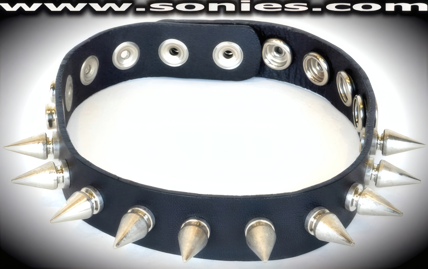 Leather Collar with Spikes and Adjustable Snap Back Closure (Sold as adult novelty only. This item may not be legal in your state or Country therefore it is your obligation to check local and state laws before ordering).   Style: LC-SPIKE1