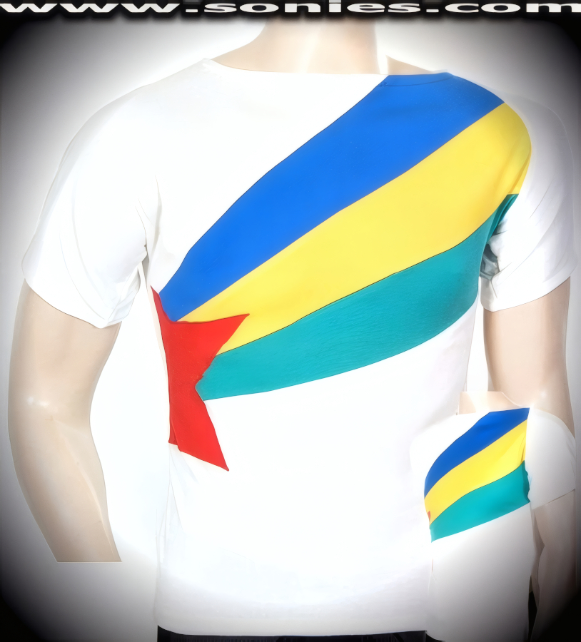 Unity Glorious Star Rise stretch cotton short sleeved t-shirt with boatneck opening is perfect for wearing on its own with your favorite pair of jeans or shorts. Red, blue, green and yellow contrasting cotton panels are used to create the magnificent front design. This casual tee is crafted using the softest, smoothest, medium-weight cotton fabric for comfort, plus has a left side slit opening for added panache. Loosely follows shape of body for a flattering stylish fit on virtually any body type (50% Cotton, 50% Polyester. Made in Canada). Unisex design for both men and women.   Style: 100-125A