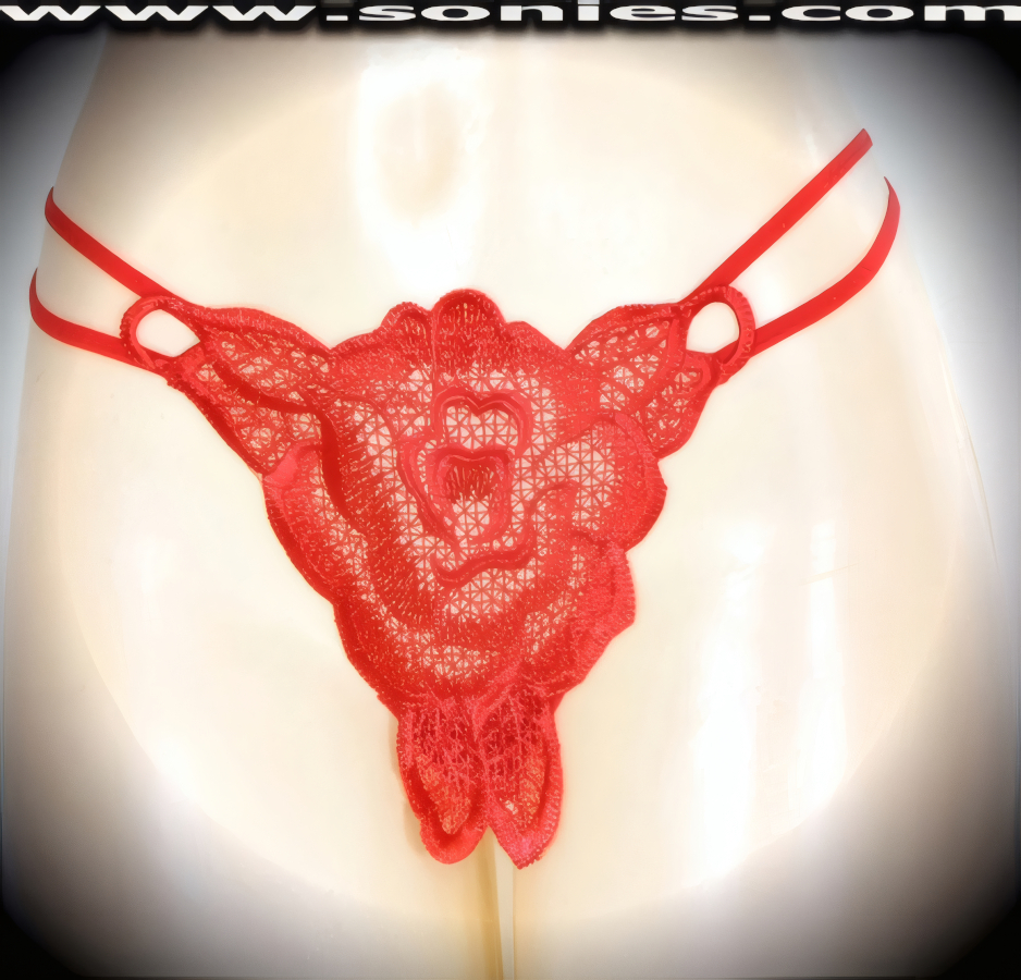 Heavenly, with a little bit of heat in this adult entertainer's low-rise Klimt sumptuously embroidered large rose see-through front dance wear thong bottom. Irresistibly enticing panty features double elasticized strappy sides to insure a great fit, lined crotch, and opaque thong back detail finish (10% Lycra, 90% Nylon. Wash delicate and hang dry). It pairs beautifully with any number of risqu� tops. May be worn with stiletto heel shoes or boots to create a phenomenal look. This style is perfect for stage, bedroom performance, life style events, pride week, monthly play parties, fetish events, adult alternative lifestyle gatherings, bachelor parties and gentleman's clubs.   Style: 2160SKE