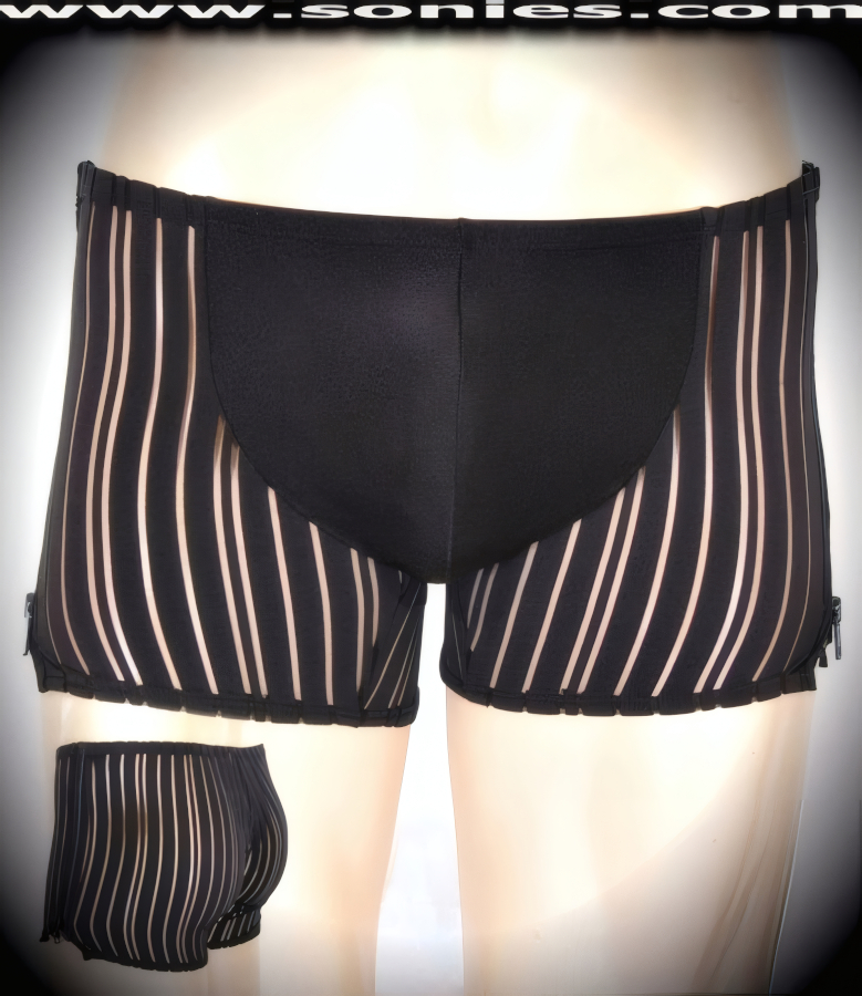 Men's Bellatrix Peek-A-Boo Sheer Mesh and Stretch Lycra Dance Wear Wonder Shorts with Opaque Contour Pouch Detail. Break-Away Zipper Sides Aspect Finish. Uncomplicated to Pull-On and an Indulgence for Your Viewers to See You Take it Off! (15% Lycra, 85% Nylon).   Style: 280-21H