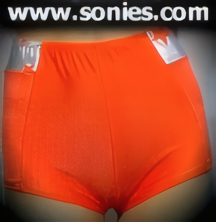 Irresistible Starlet Lycra Hot Pant with Silver Contrast Top Side Corners.   STYLE: SC-14AJ