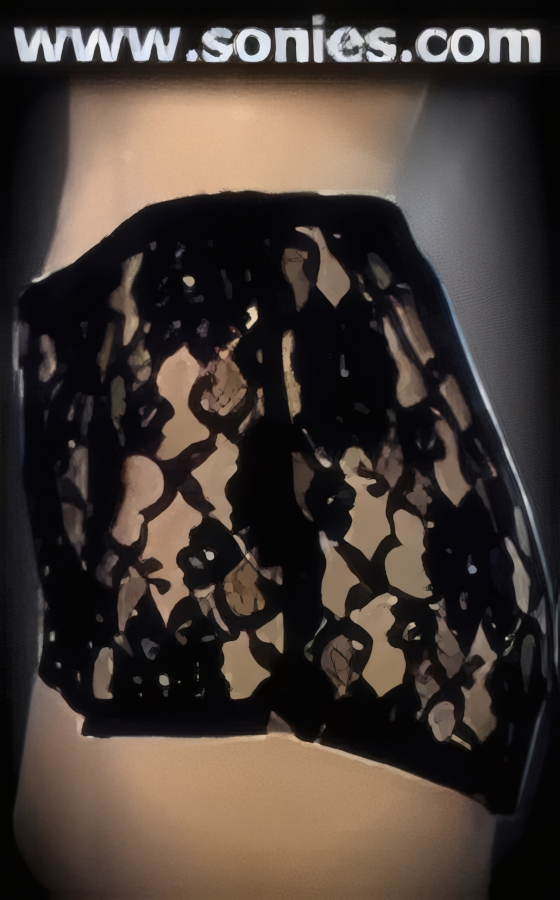 Temptingly Sheer Lace Hot Pant with Front Zip-Up Closure.   STYLE: SC-14D