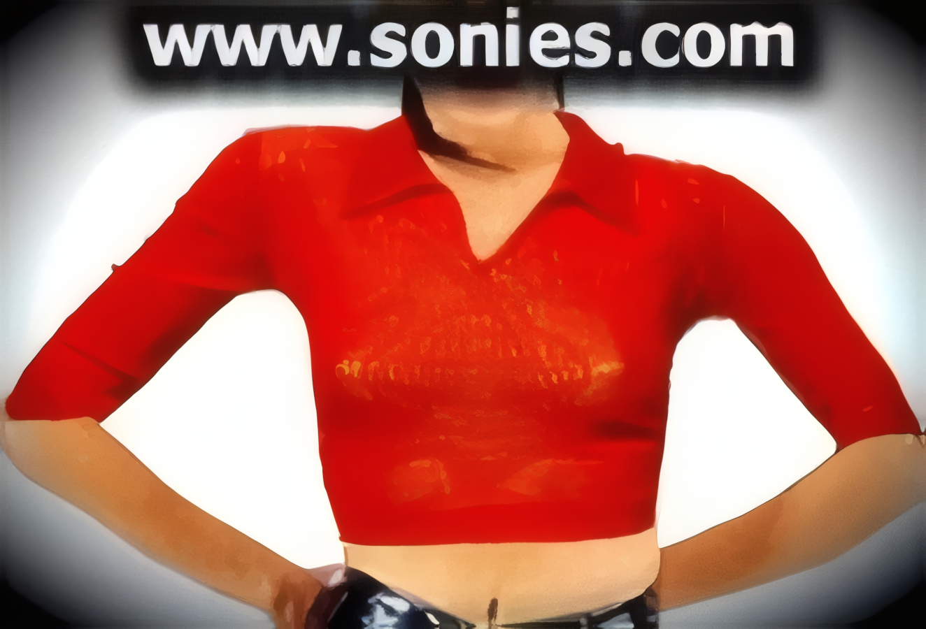 Hit the town tonight wearing this Dante seductively sheer stretch mesh short sleeved top with v-shape neckline and collar detail finish. It pairs beautifully with any number of risqu� bottoms such as skirts, hot pants, thongs or G-Strings. May be worn with stiletto heel shoes or boots to create a phenomenal look. This style is perfect for stage, life style events, pride week, monthly play parties, fetish events, adult alternative lifestyle gatherings, bachelor parties, club wear, nightclubs, dance clubs and gentleman's clubs.   Style: SC-8C