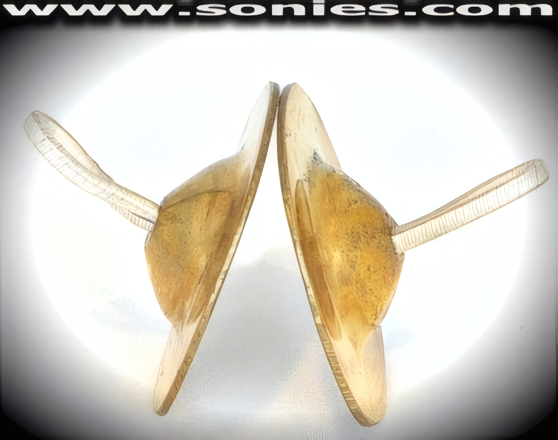 Make Some Noise by way of these very popular Gypsy Queen Solid Brass Cymbals with Elasticized Finger Loop. Uniquely hand Crafted and are recommended for beginners through to professional level dancers. 2-Inch Diameter.   STYLE: SJ-08E