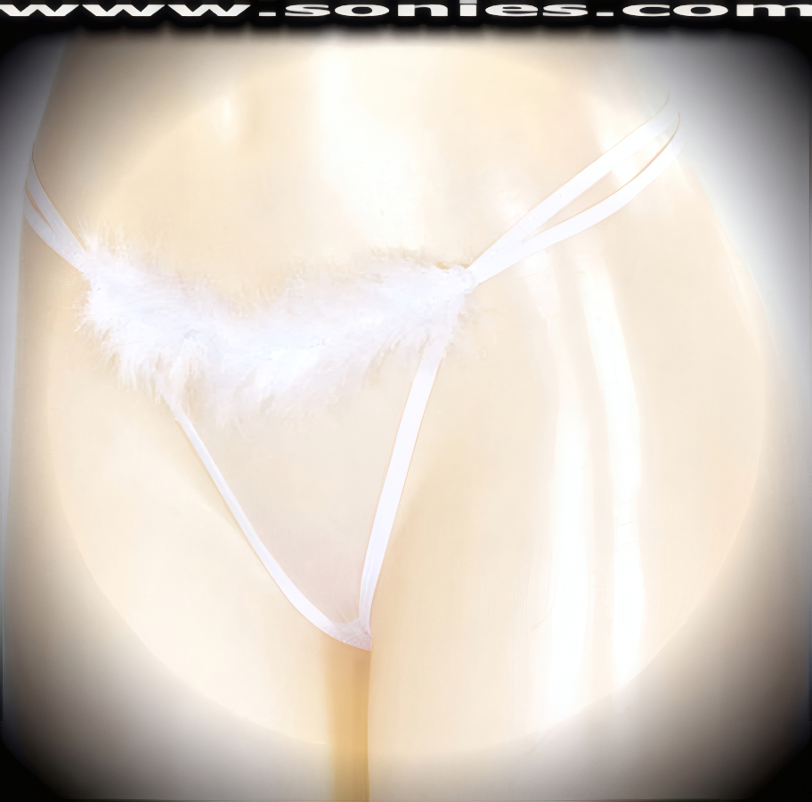 You're audience will lust after this shimmering adult entertainer's low-rise Parbat lusciously sheer fine mesh dance wear G-String bottom with soft marabou trim and satin ribbon accent front top detailing. Irresistibly enticing sheer panty features double elasticized strappy cutout waistband sides to insure a great fit, cotton lined crotch, and stunning sheer V-Shape back finally (10% Lycra, 90% Nylon. Wash delicate and hang dry). It pairs beautifully with any number of risqu� tops. May be worn with stiletto heel shoes or boots to create a phenomenal look. This style is perfect for stage, bedroom performance, life style events, pride week, monthly play parties, fetish events, adult alternative lifestyle gatherings, bachelor parties and gentleman's clubs.   Style: YQ222H