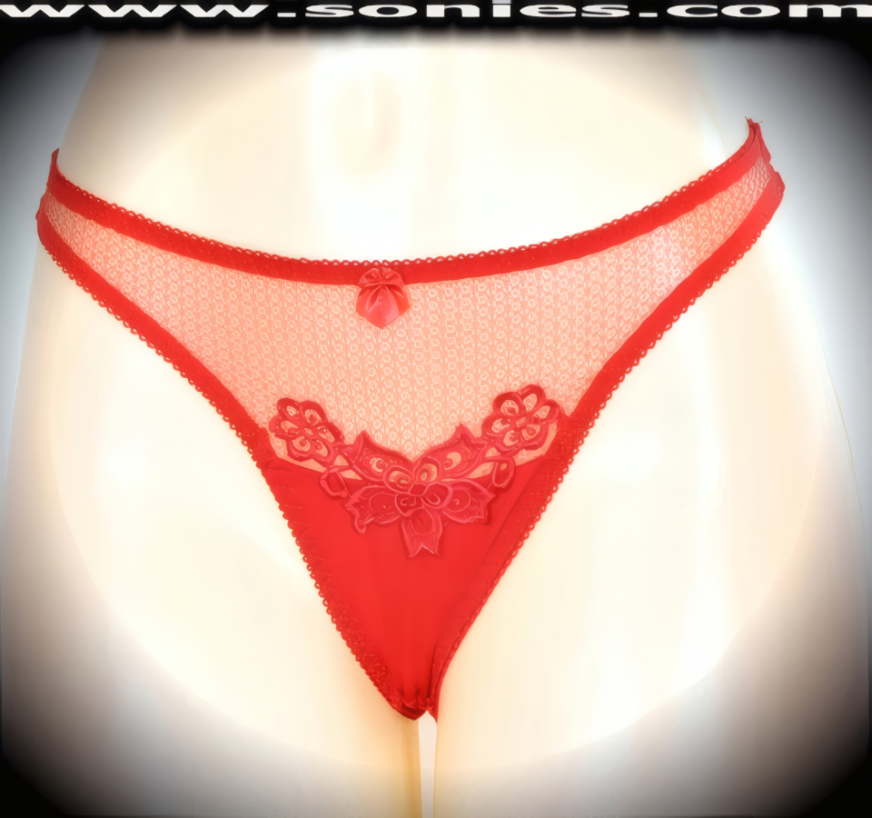 Dreamy, delicate and divine in this adult entertainer's low-rise Knossos see-through fine lace with lavishly embroidered floral accent detailing front dance wear thong bottom. Irresistibly enticing panty features sheer fine lace with opaque frontage, soft elasticized edging to insure a comfortable fit, lined crotch, opaque thong back, plus front satin bow appliqu� accent detail finish. The low-rise design makes the torso look longer for an incredibly seductive silhouette (10% Lycra, 90% Nylon. Wash delicate and hang dry). It pairs beautifully with any number of risqu� tops. May be worn with stiletto heel shoes or boots to create a phenomenal look. This style is perfect for stage, bedroom performance, life style events, pride week, monthly play parties, fetish events, adult alternative lifestyle gatherings, bachelor parties and gentleman's clubs.   Style: YQ631C