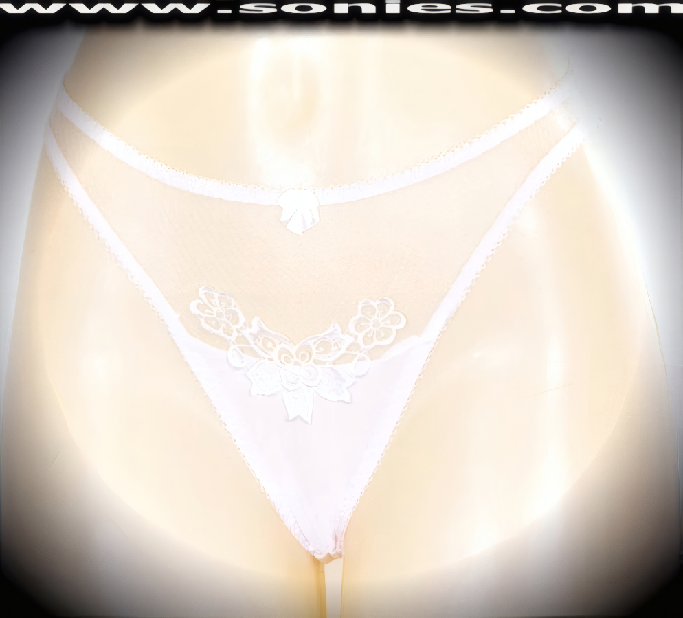 Dreamy, delicate and divine in this adult entertainer's low-rise Knossos see-through fine lace with lavishly embroidered floral accent detailing front dance wear thong bottom. Irresistibly enticing panty features sheer fine lace with opaque frontage, soft elasticized edging to insure a comfortable fit, lined crotch, opaque thong back, plus front satin bow appliqu� accent detail finish. The low-rise design makes the torso look longer for an incredibly seductive silhouette (10% Lycra, 90% Nylon. Wash delicate and hang dry). It pairs beautifully with any number of risqu� tops. May be worn with stiletto heel shoes or boots to create a phenomenal look. This style is perfect for stage, bedroom performance, life style events, pride week, monthly play parties, fetish events, adult alternative lifestyle gatherings, bachelor parties and gentleman's clubs.   Style: YQ631D