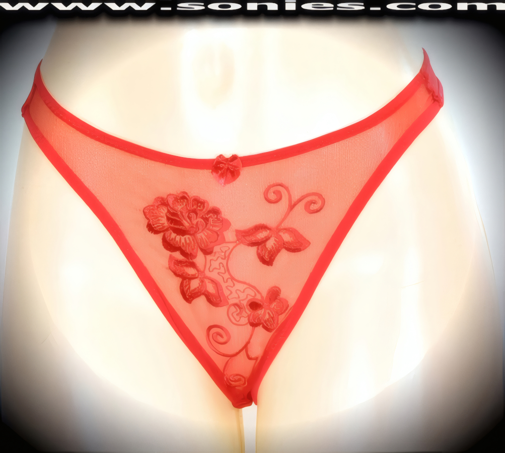 Make a big impression when you step-out on stage in this adult entertainer's low-rise Cleopatra see-through fine mesh with lavishly embroidered floral accent detailing front dance wear thong bottom. Irresistibly enticing panty features soft elasticized edging to insure a comfortable fit, lined crotch, opaque thong back, plus front satin bow appliqu� accent detail finish. The low-rise design makes the torso look longer for an incredibly seductive silhouette (10% Lycra, 90% Nylon. Wash delicate and hang dry). It pairs beautifully with any number of risqu� tops. May be worn with stiletto heel shoes or boots to create a phenomenal look. This style is perfect for stage, bedroom performance, life style events, pride week, monthly play parties, fetish events, adult alternative lifestyle gatherings, bachelor parties and gentleman's clubs.   Style: YQ635C