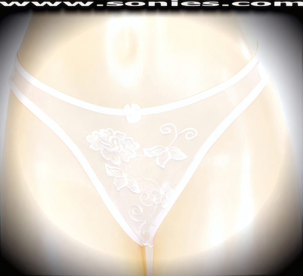 Make a big impression when you step-out on stage in this adult entertainer's low-rise Cleopatra see-through fine mesh with lavishly embroidered floral accent detailing front dance wear thong bottom. Irresistibly enticing panty features soft elasticized edging to insure a comfortable fit, lined crotch, opaque thong back, plus front satin bow appliqu� accent detail finish. The low-rise design makes the torso look longer for an incredibly seductive silhouette (10% Lycra, 90% Nylon. Wash delicate and hang dry). It pairs beautifully with any number of risqu� tops. May be worn with stiletto heel shoes or boots to create a phenomenal look. This style is perfect for stage, bedroom performance, life style events, pride week, monthly play parties, fetish events, adult alternative lifestyle gatherings, bachelor parties and gentleman's clubs.   Style: YQ635D