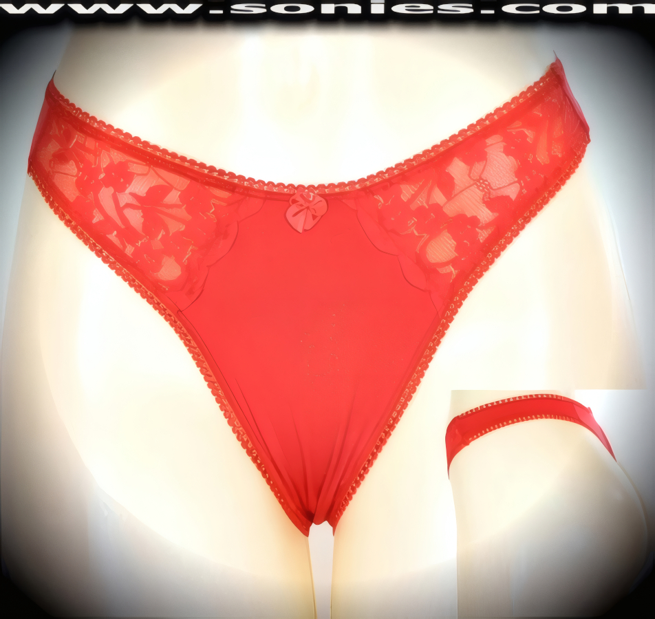 Just one glimpse will say it all in this lusty Beaujeu sheer floral lace with opaque stretch Lycra dance wear bottom. Exquisite bordered lace with cotton lined crotch and thong back, plus satin bow appliqu� front detail finish (10% Lycra, 90% Nylon. Wash delicate and hang dry). It pairs beautifully with any number of risqu� tops. May be worn with stiletto heel shoes or boots to create a phenomenal look. This style is perfect for stage, bedroom performance, life style events, pride week, monthly play parties, fetish events, adult alternative lifestyle gatherings, bachelor parties and gentleman's clubs.   Style: YQ677F