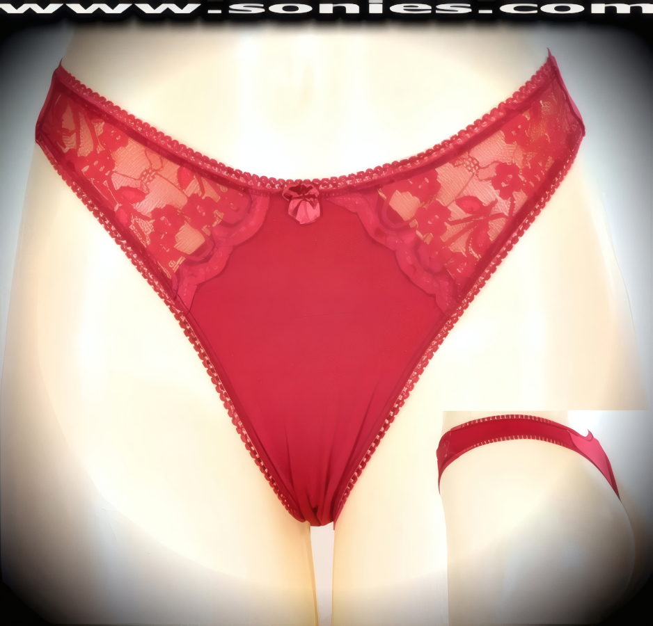 Just one glimpse will say it all in this lusty Beaujeu sheer floral lace with opaque stretch Lycra dance wear bottom. Exquisite bordered lace with cotton lined crotch and thong back, plus satin bow appliqu� front detail finish (10% Lycra, 90% Nylon. Wash delicate and hang dry). It pairs beautifully with any number of risqu� tops. May be worn with stiletto heel shoes or boots to create a phenomenal look. This style is perfect for stage, bedroom performance, life style events, pride week, monthly play parties, fetish events, adult alternative lifestyle gatherings, bachelor parties and gentleman's clubs.   Style: YQ677G