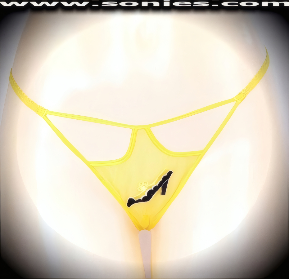 Classic leading lady style with an uptown twist is this Lupita wispy sheer mesh front cutout panty with intricately embroidered elegant heel shoe detailing, plus has a V-shape G-String back finally that flatters your body marvelously. Crafted with a soft elasticized waistband and back to ensure a great fit (10% Lycra, 90% Nylon, exclusive of trim. Hand wash cold and line dry. Do not bleach). It pairs beautifully with any number of risqu� tops. May be worn with stiletto heel shoes or boots to create a phenomenal look. This style is perfect for stage, bedroom performance, life style events, pride week, monthly play parties, fetish events, adult alternative lifestyle gatherings, bachelor parties and gentleman's clubs.   Style: YQ708I