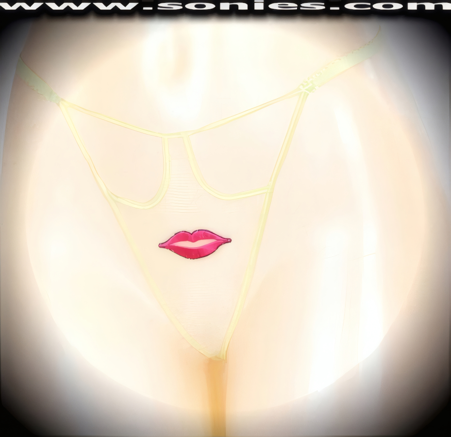 Nothing to conceal as you bares all your best assets in this Lurdes teasingly sheer mesh front cutout panty with intricately embroidered juicy lips detailing, plus has a V-shape G-String back finally that flatters your body marvelously. Crafted with a soft elasticized waistband and back to ensure a great fit (10% Lycra, 90% Nylon, exclusive of trim. Hand wash cold and line dry. Do not bleach). It pairs beautifully with any number of risqu� tops. May be worn with stiletto heel shoes or boots to create a phenomenal look. This style is perfect for stage, bedroom performance, life style events, pride week, monthly play parties, fetish events, adult alternative lifestyle gatherings, bachelor parties and gentleman's clubs.   Style: YQ709D