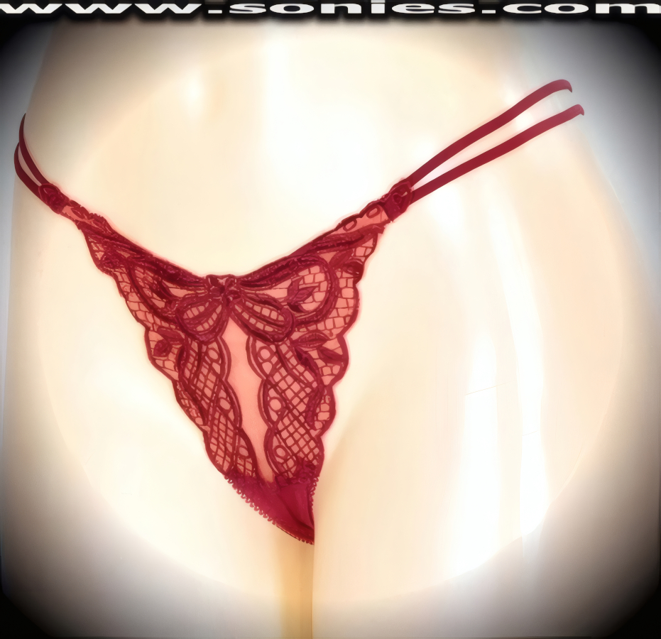 Pure delight in this Mayte translucent stretch mesh dance wear panty with lavishly embroidered floral sheer detailing front and thong back that creates a show-off silhouette. Irresistibly enticing panty features dual elasticized strappy sides waistband, cotton lined crotch and thong back finally (10% Lycra, 90% Nylon, exclusive of trim. Hand wash cold and line dry. Do not bleach). It pairs beautifully with any number of risqu� tops. May be worn with stiletto heel shoes or boots to create a phenomenal look. This style is perfect for stage, bedroom performance, life style events, pride week, monthly play parties, fetish events, adult alternative lifestyle gatherings, bachelor parties and gentleman's clubs.   Style: YQ902G