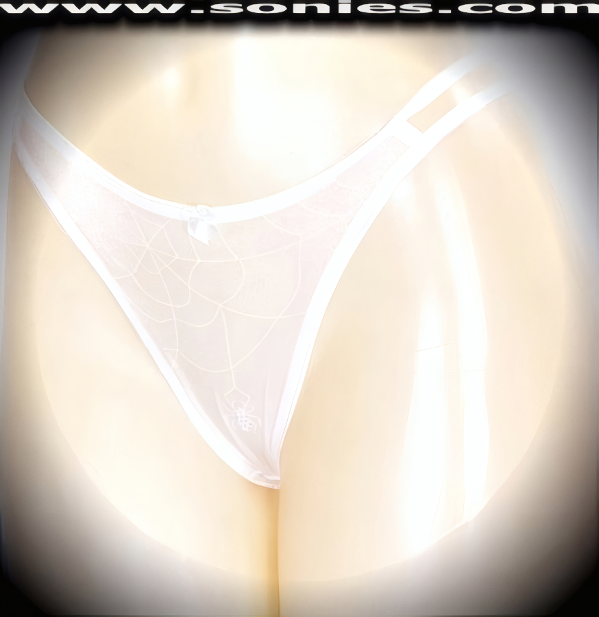 When you�re in search of sheer decadence then look no further then this exquisite adult entertainer's Paquita low-rise semi sheer satin Lycra dance wear thong bottom. Crafted with a stunning foil web design and dangling spider on the frontage to capture your audience's attention. Irresistibly enticing panty features cutout skin baring sides with double elasticized straps to insure a great fit, lined crotch, thong back, plus satin bow appliqu� front detail finish (10% Lycra, 90% Nylon. Wash delicate and hang dry). It pairs beautifully with any number of risqu� tops. May be worn with stiletto heel shoes or boots to create a phenomenal look. This style is perfect for stage, bedroom performance, life style events, pride week, monthly play parties, fetish events, adult alternative lifestyle gatherings, bachelor parties and gentleman's clubs.   Style: YQ956I